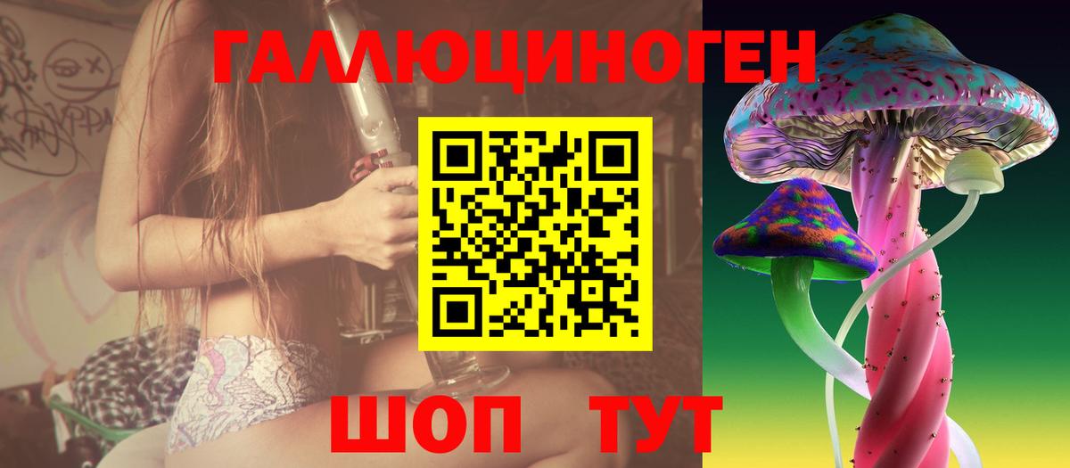 Псилоцибиновые грибы GOLDEN TEACHER Клинцы