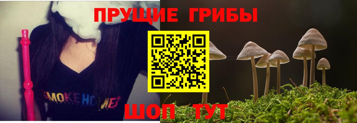 Галлюциногенные грибы GOLDEN TEACHER  Вход с VPN  где купить наркоту  Клинцы 